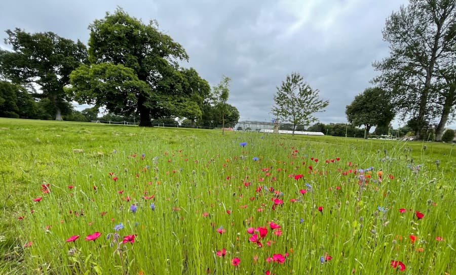 Pupils at Hazlegrove Prep School awarded a prestigious Eco-Schools’ Green Flag